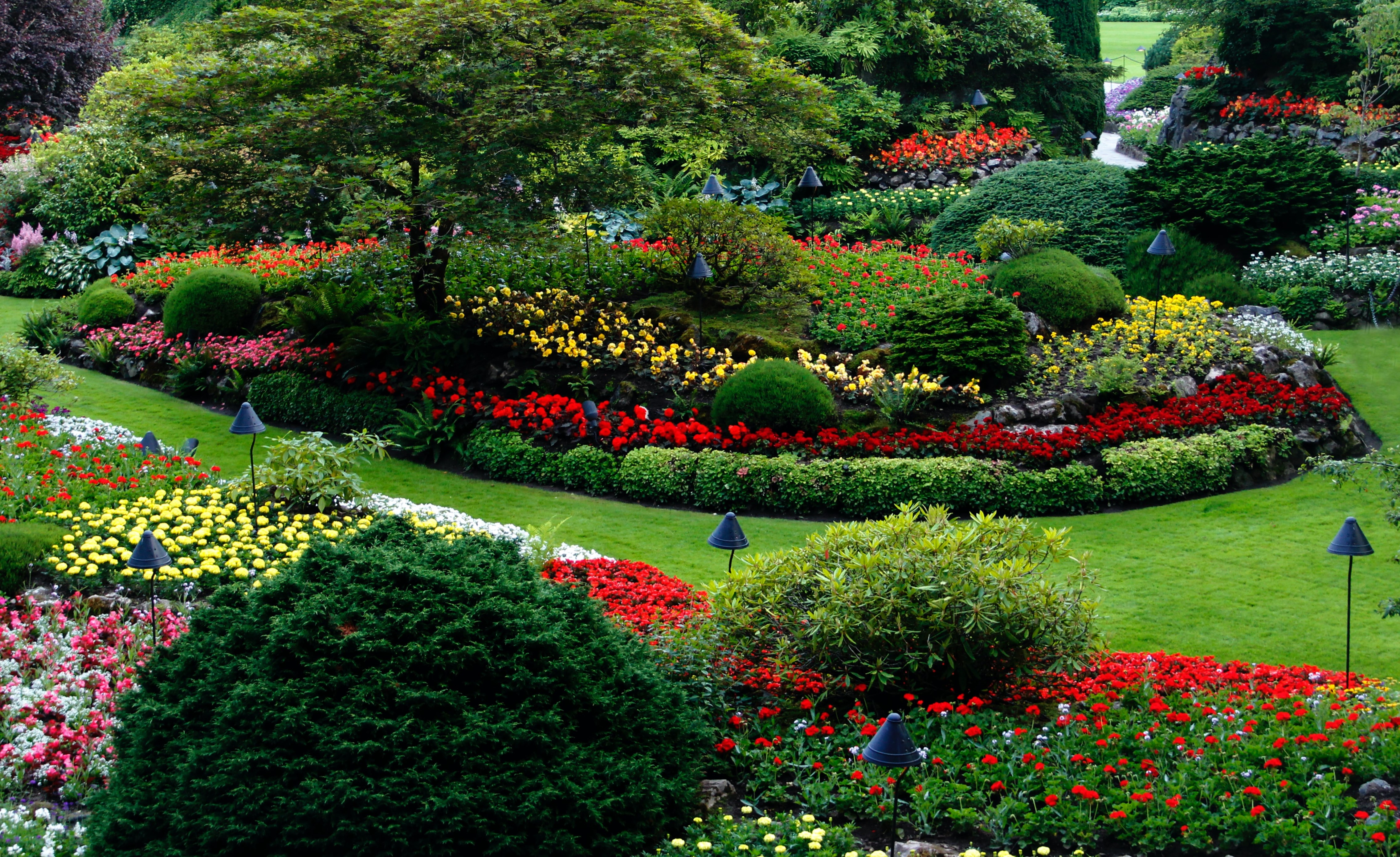 Towers Projects Landscape